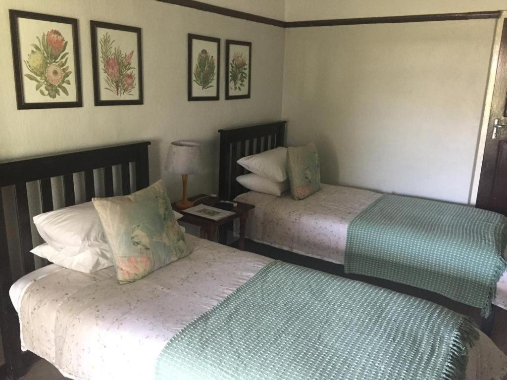 אאודטסהורן Beit Shalom Before Known As Best Little Guesthouse מראה חיצוני תמונה